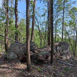 Photo #32 of Robinson Gap Road, Monroe, VA 102.1 acres
