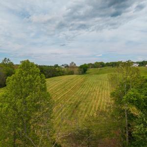 Photo #16 of Tin Top Place, Appomattox, VA 20.1 acres