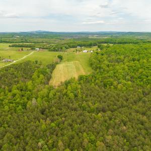 Photo #14 of Tin Top Place, Appomattox, VA 20.1 acres