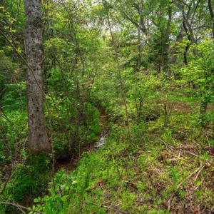 Photo #6 of Tin Top Place, Appomattox, VA 20.1 acres