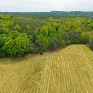 Photo #13 of Tin Top Place, Appomattox, VA 20.1 acres