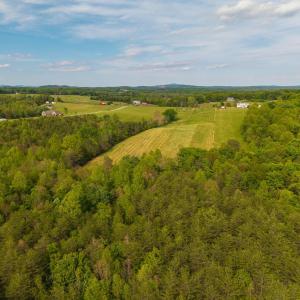 Photo #20 of Tin Top Place, Appomattox, VA 20.1 acres