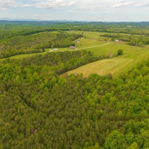 Photo #15 of Tin Top Place, Appomattox, VA 20.1 acres