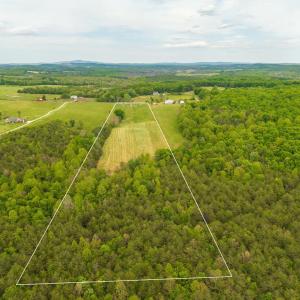 Photo #9 of Tin Top Place, Appomattox, VA 20.1 acres