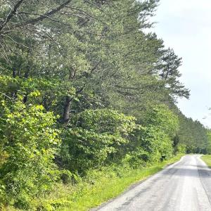 Photo #12 of Three Creeks Road, Gladys, VA 104.0 acres