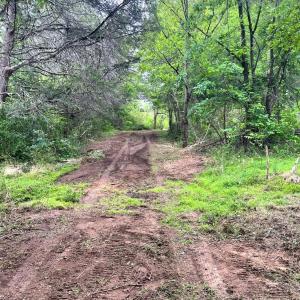 Photo #7 of Three Creeks Road, Gladys, VA 104.0 acres