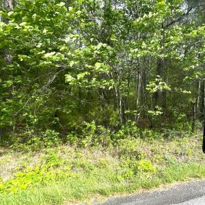 Photo #17 of Three Creeks Road, Gladys, VA 104.0 acres