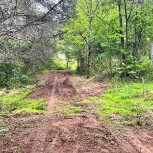 Photo #18 of Three Creeks Road, Gladys, VA 104.0 acres
