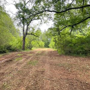 Photo #9 of Three Creeks Road, Gladys, VA 104.0 acres