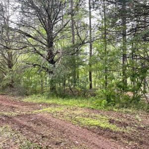 Photo #5 of Three Creeks Road, Gladys, VA 104.0 acres
