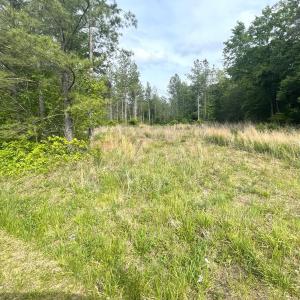 Photo #3 of Three Creeks Road, Gladys, VA 104.0 acres