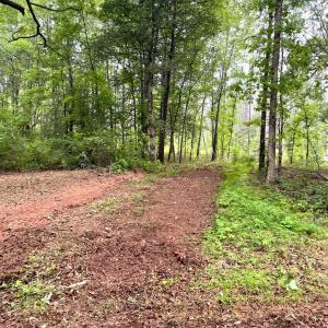 Photo #8 of Three Creeks Road, Gladys, VA 104.0 acres