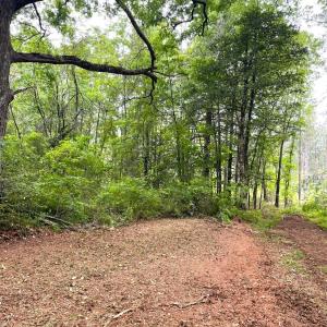 Photo #15 of Three Creeks Road, Gladys, VA 104.0 acres