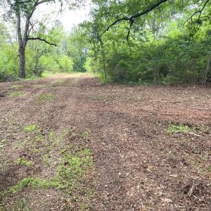 Photo #10 of Three Creeks Road, Gladys, VA 104.0 acres