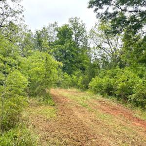 Photo #16 of Three Creeks Road, Gladys, VA 104.0 acres