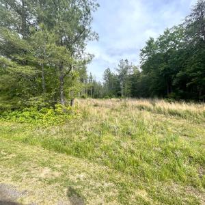 Photo #4 of Three Creeks Road, Gladys, VA 104.0 acres