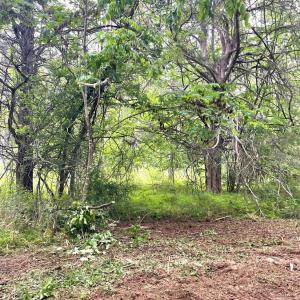 Photo #13 of Three Creeks Road, Gladys, VA 104.0 acres
