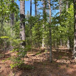 Photo #4 of 2 Foxfire Lane, Bedford, VA 14.6 acres