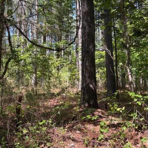 Photo #1 of 3 Foxfire Lane, Bedford, VA 11.7 acres
