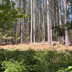 Photo #1 of 4 Foxfire Lane, Bedford, VA 9.3 acres