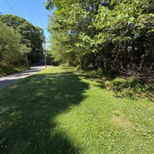 Photo #5 of 2463 Holliday Street, Lynchburg, VA 0.2 acres