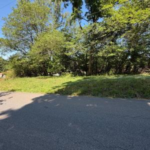 Photo #3 of 2463 Holliday Street, Lynchburg, VA 0.2 acres