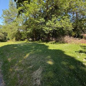 Photo #4 of 2463 Holliday Street, Lynchburg, VA 0.2 acres