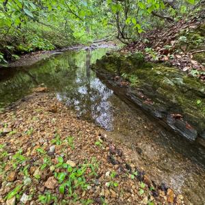 Photo #7 of James River Road, Appomattox, VA 149.5 acres