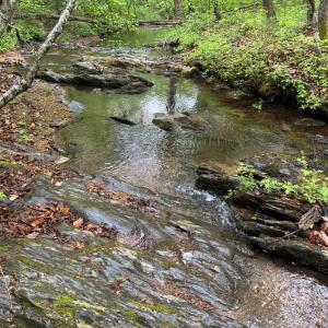 Photo #8 of James River Road, Appomattox, VA 149.5 acres