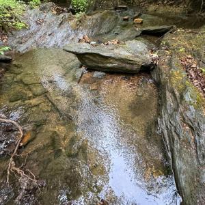 Photo #3 of James River Road, Appomattox, VA 149.5 acres