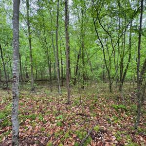 Photo #2 of James River Road, Appomattox, VA 149.5 acres