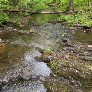 Photo #5 of James River Road, Appomattox, VA 149.5 acres