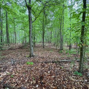 Photo #6 of James River Road, Appomattox, VA 149.5 acres