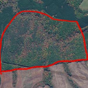 Photo #12 of James River Road, Appomattox, VA 149.5 acres