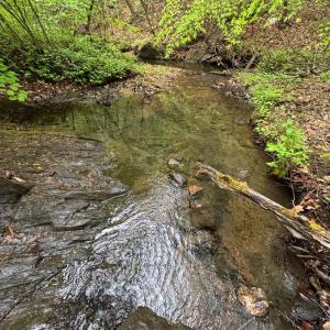 Photo #1 of James River Road, Appomattox, VA 149.5 acres