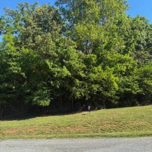 Photo #6 of 53 Sandy Court, Gretna, VA 1.3 acres