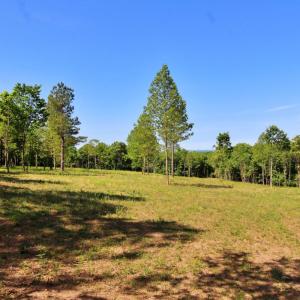 Photo #7 of Tower Hill Road, Appomattox, VA 16.1 acres