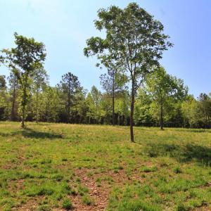 Photo #11 of Tower Hill Road, Appomattox, VA 16.1 acres