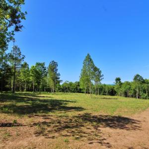 Photo #1 of Tower Hill Road, Appomattox, VA 16.1 acres