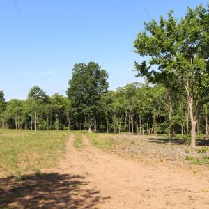 Photo #8 of Tower Hill Road, Appomattox, VA 16.1 acres