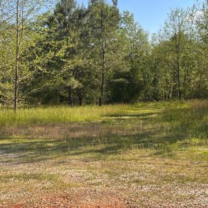 Photo #7 of 400 Richmond Hwy, Amherst, VA 7.9 acres