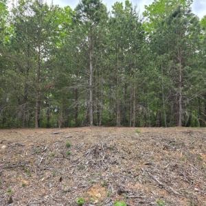 Photo #5 of Lot 146 Noah's Knoll, Pittsville, VA 1.2 acres