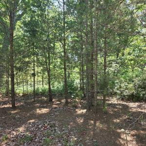 Photo #2 of Lot 146 Noah's Knoll, Pittsville, VA 1.2 acres