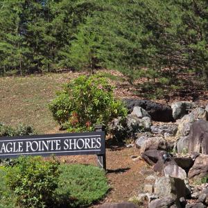 Photo #1 of Lot 146 Noah's Knoll, Pittsville, VA 1.2 acres