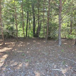Photo #4 of Lot 146 Noah's Knoll, Pittsville, VA 1.2 acres