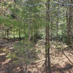 Photo #3 of Lot 146 Noah's Knoll, Pittsville, VA 1.2 acres