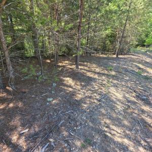 Photo #6 of Lot 146 Noah's Knoll, Pittsville, VA 1.2 acres