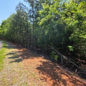 Photo #5 of Lot 25 Garrison Ridge, Pittsville, VA 1.3 acres