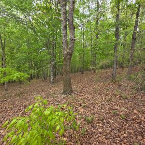 Photo #2 of Lot 25 Garrison Ridge, Pittsville, VA 1.3 acres