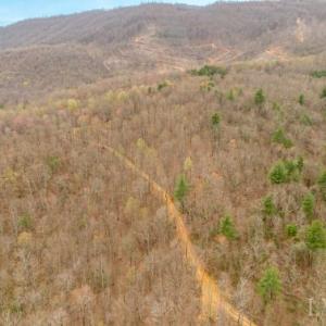 Photo #2 of Adventure Mountain, Montvale, VA 343.0 acres